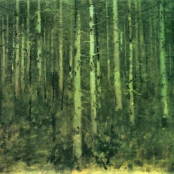 In the forest